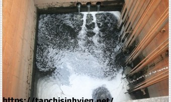 Cách xử lý nước thải nhà máy bia Heniken